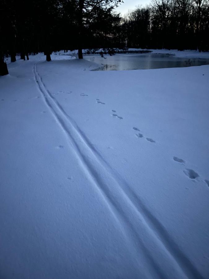 Blue Knob Bear Den Lägenhet Claysburg Exteriör bild